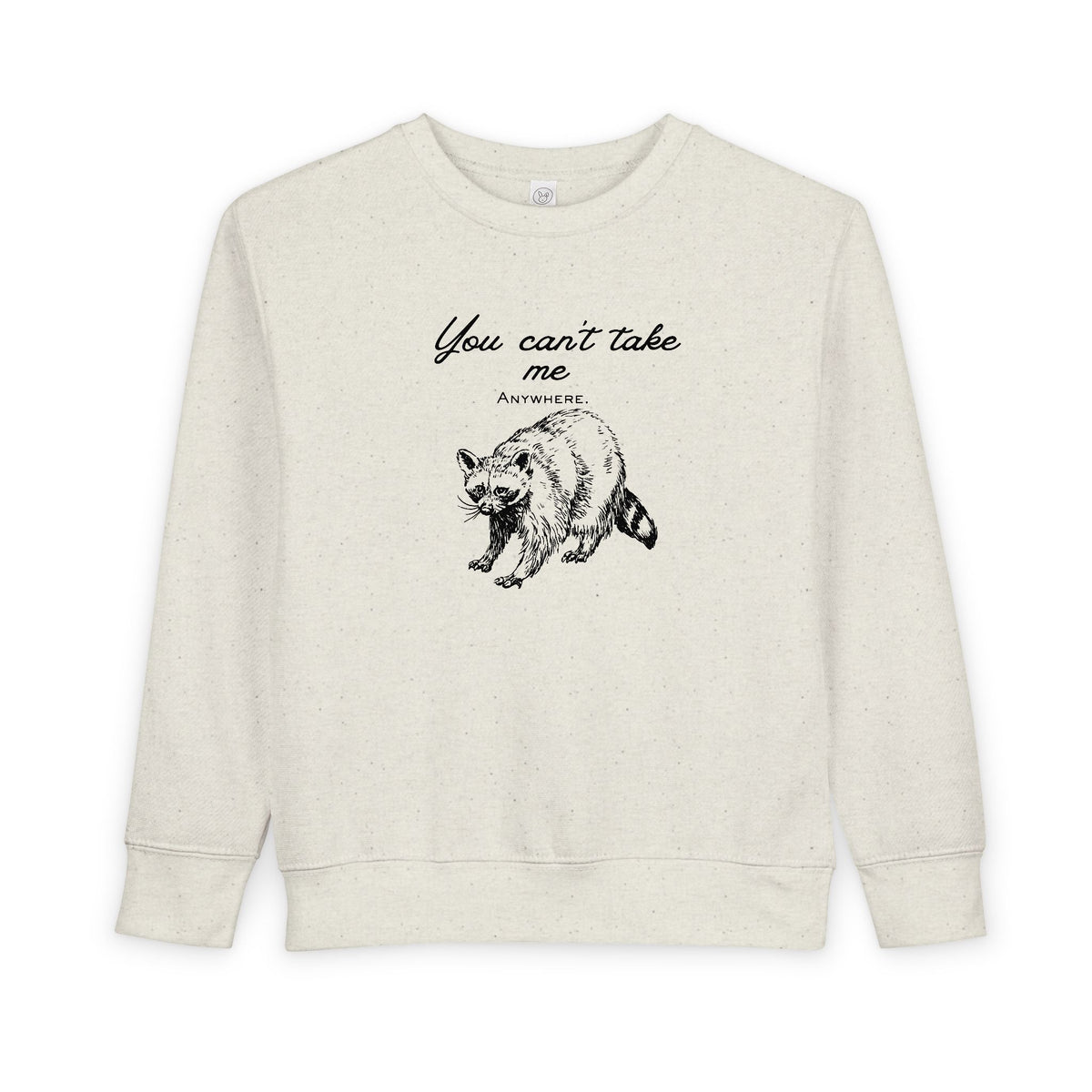 Toddler Sweatshirt — 'You Can't Take Me Anywhere' Raccoon Graphic Kids Pullover