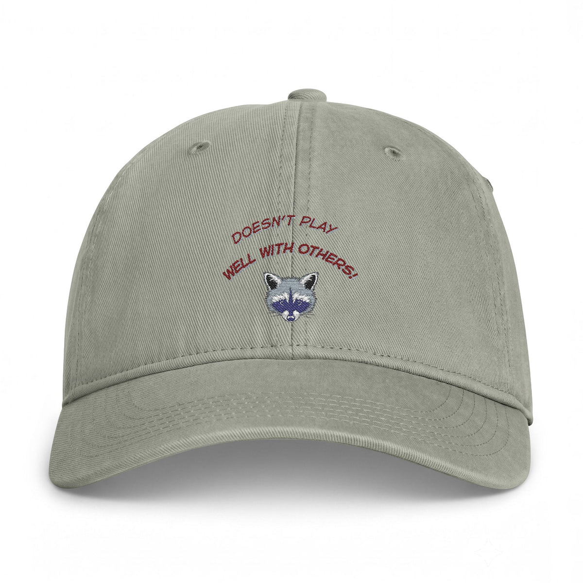 Doesn't Play Well With Others Cap — Embroidered Raccoon Dad Hat (Coastal Washed)